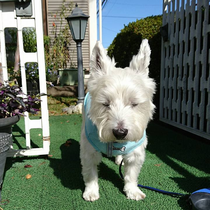 Efcb230f 6efd 4d7f 88a4 42885a09dadf