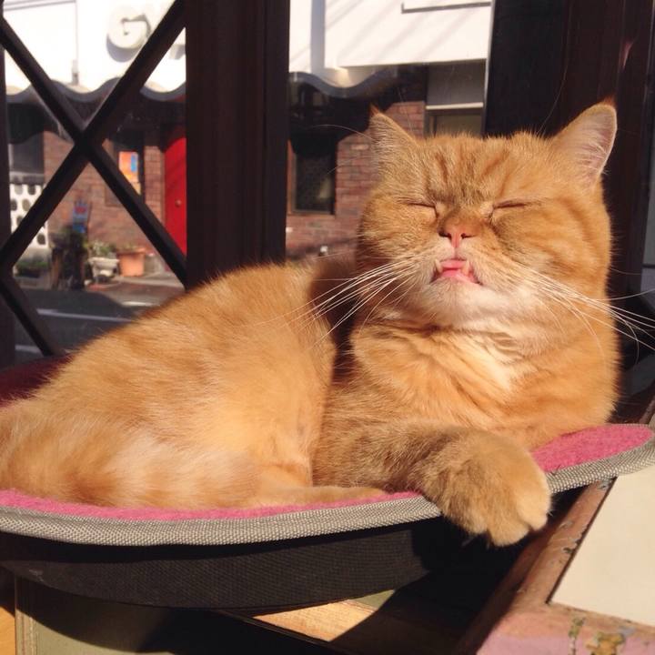 Efcb716a 151b 4b2c b561 8d6fd241581e