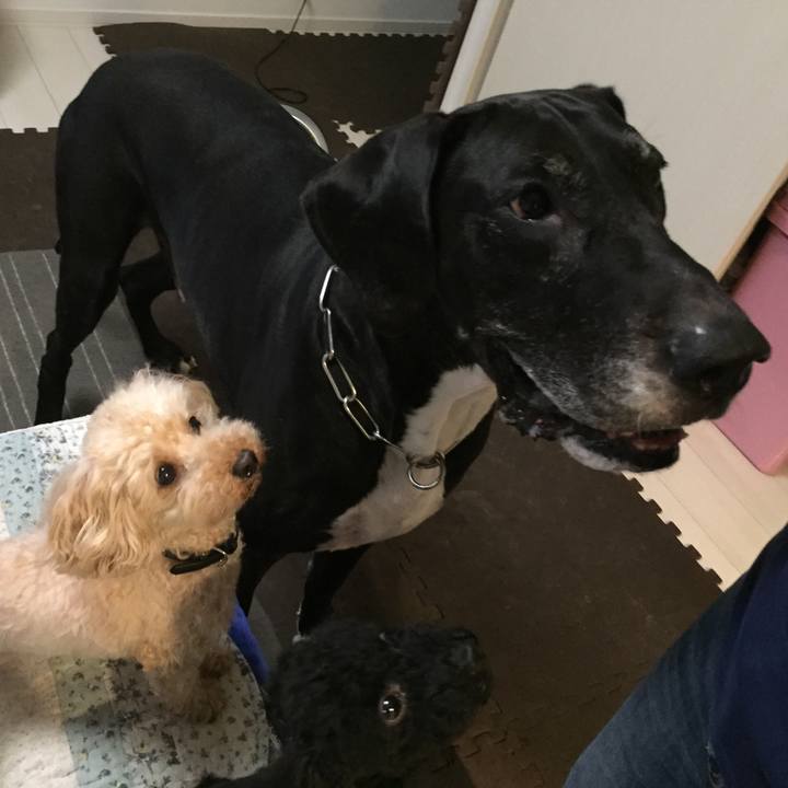 Efcb9b29 a7fa 46fb 861b c03aa34ea6e0