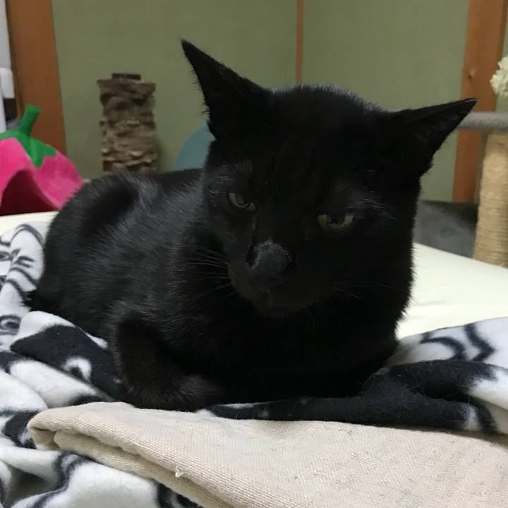 Efcbba4d 20fd 4381 849c f73a75915ac0