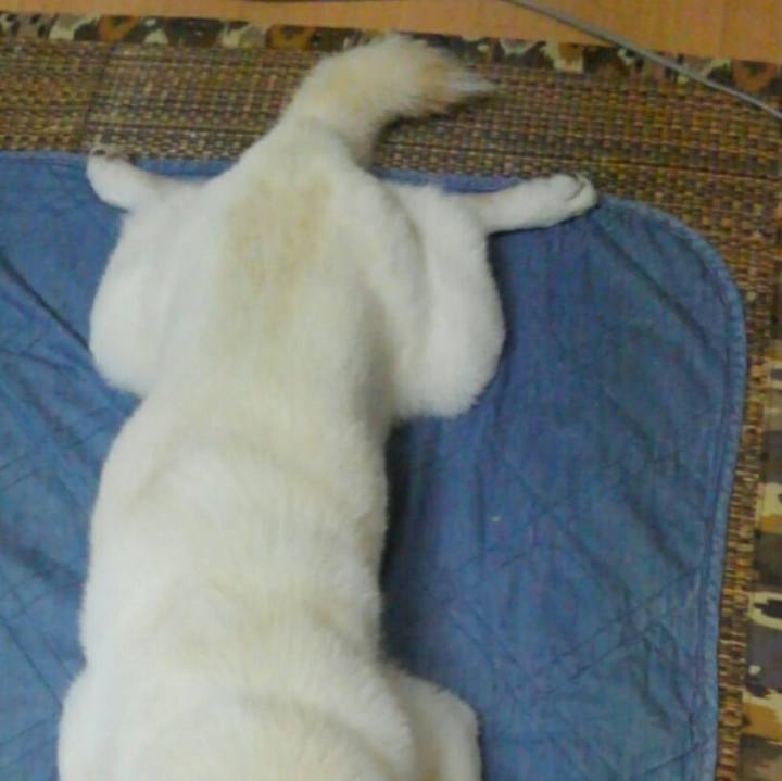 Efcd8307 83c6 4b0b 85cb 254318992062