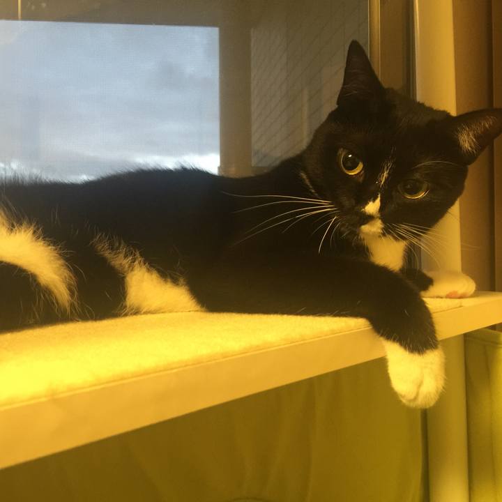 Efcdc9d7 d725 436c 8cf9 9071947cc9d5