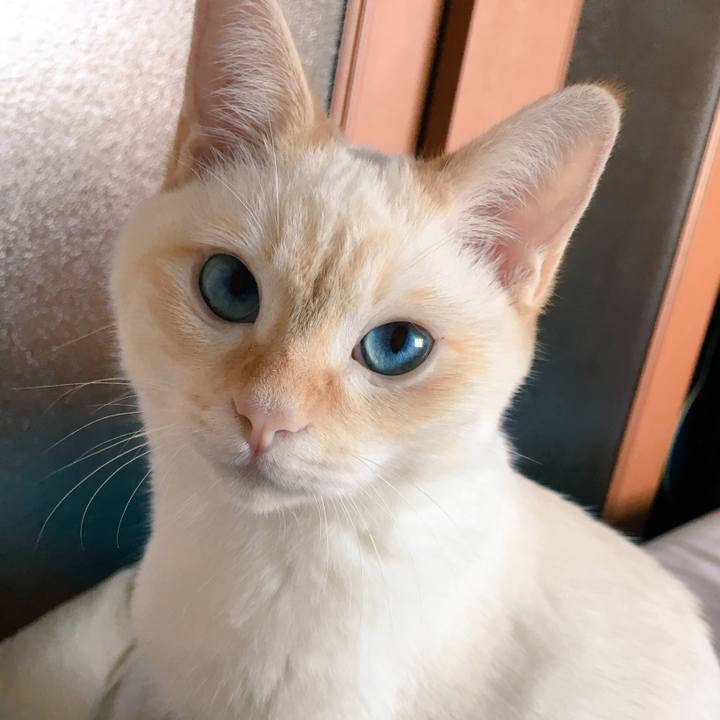 Efcfa2aa 8f6d 4f82 9efa b4f9ba8fbb0a