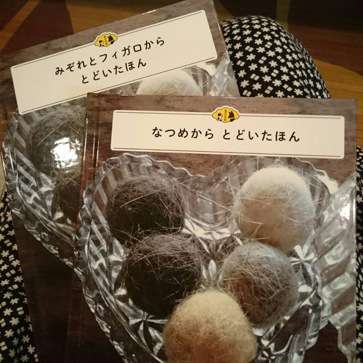 Efd04887 3f6b 49a7 bfa9 c328f1ac4cbc