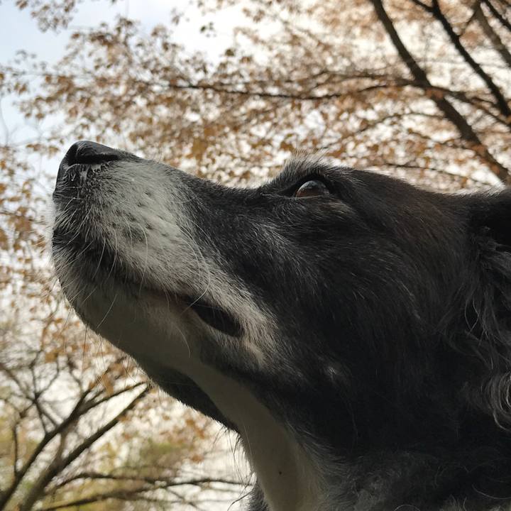 Efd0be09 03d2 4475 bf3b b98992a4f5ac