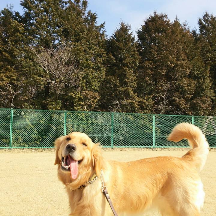 Efd0eaac 27c1 4cf3 9925 af263bae24aa