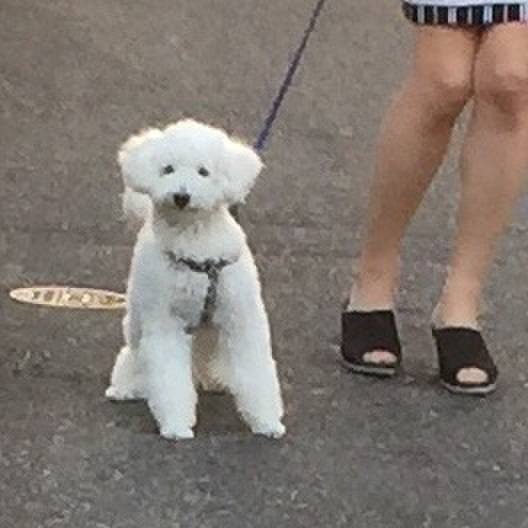 Efd2e422 6c12 42a5 a8ea 52dda154db4c