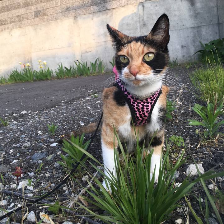 Efd32da0 4faf 42a6 8d9f a6041331bf29