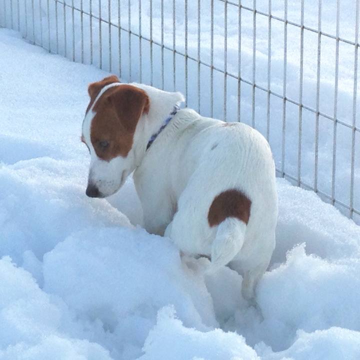 Efd33427 724d 4e3a be00 3124cac33c3c