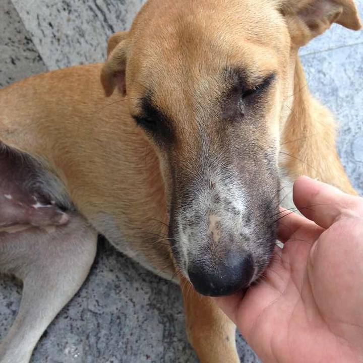 Efd34891 4c53 41f4 a91f bfce10b97c3f