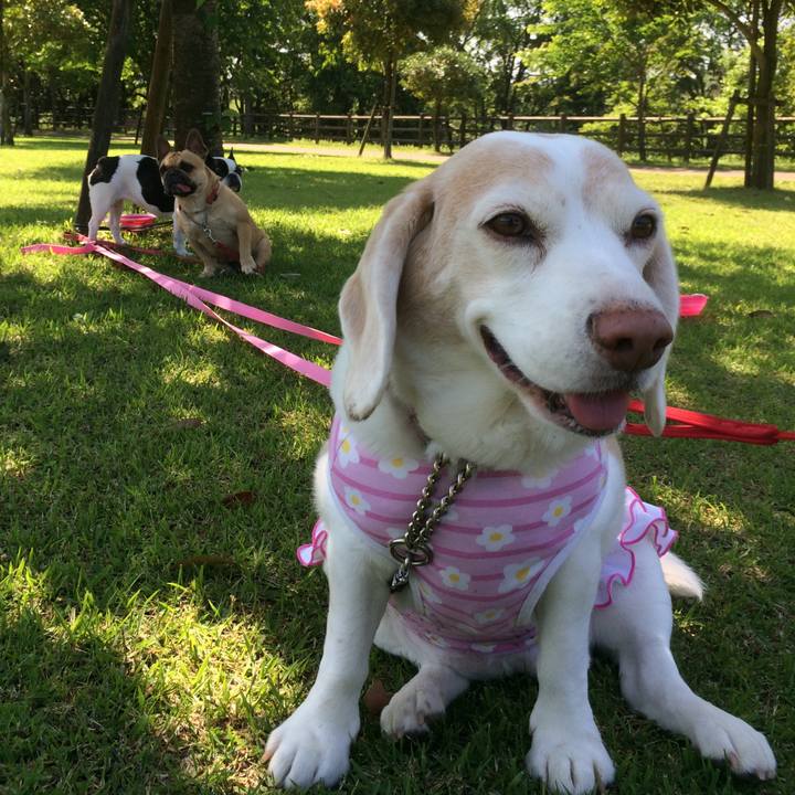 Efd37b46 fa4d 4f07 b4dc 52272bbf5999