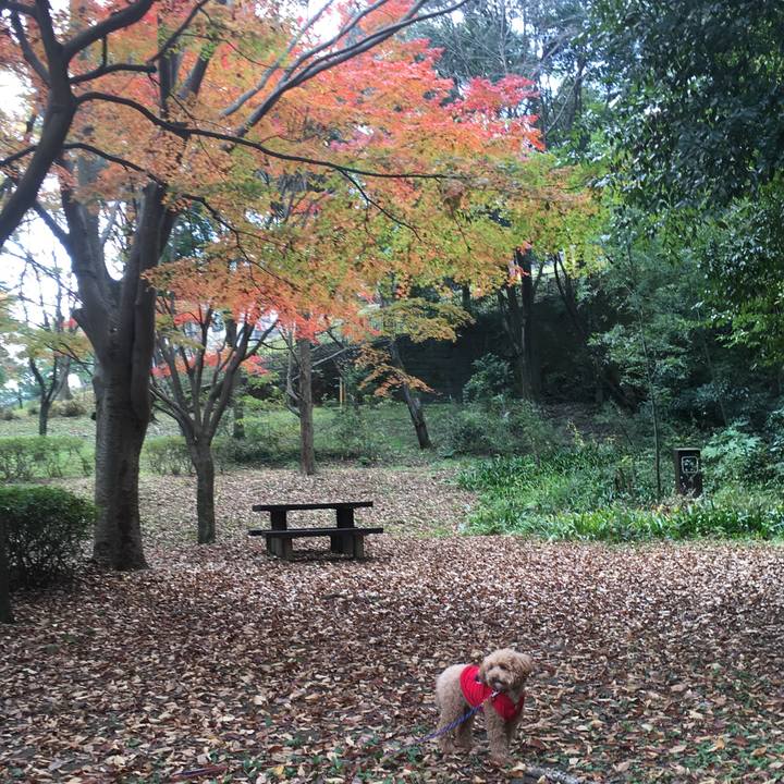 Efd39668 10b7 4a86 a75c 6b4f63cf046b