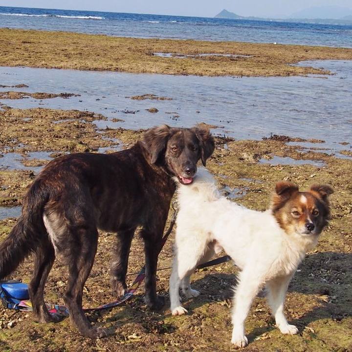 Efd4024a f8ea 41f1 8056 a8bc5f5208bf