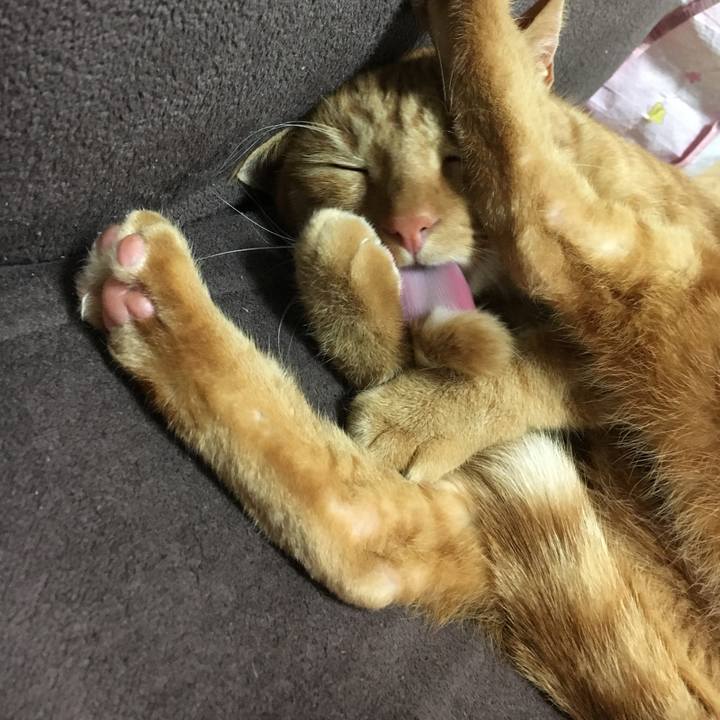 Efd43a06 53a1 4ca3 8f7d 435a484b12a9