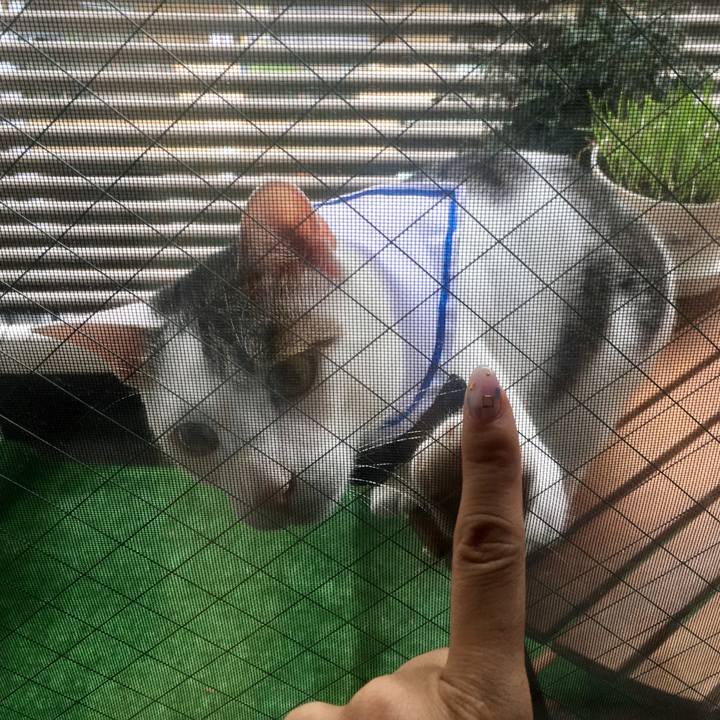 Efd44a21 16f3 4f3e a592 79f8405061fd