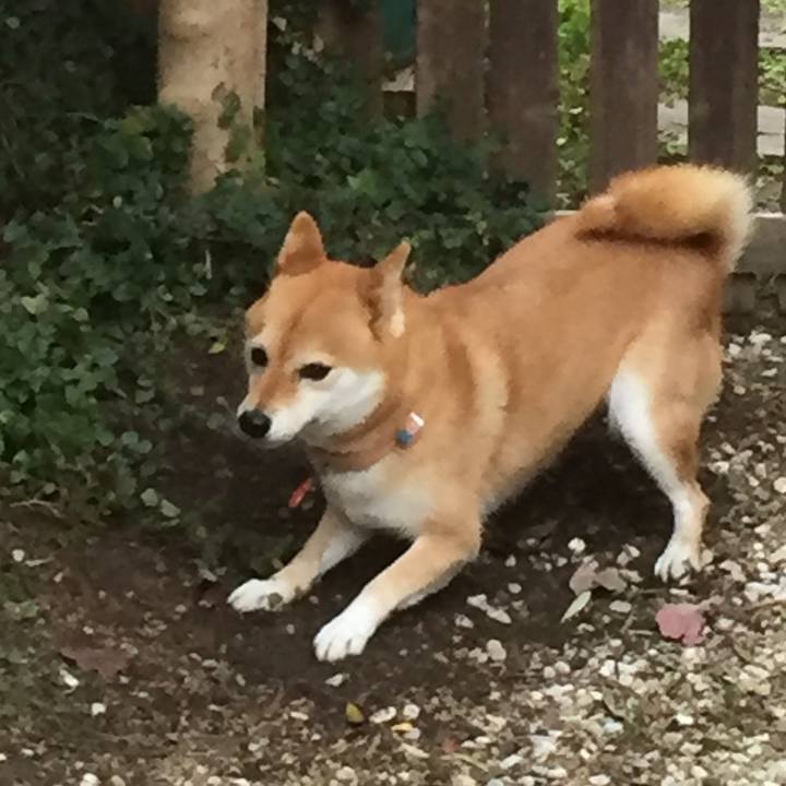 Efd4d712 0e16 4c87 b855 ec12afa5dee6