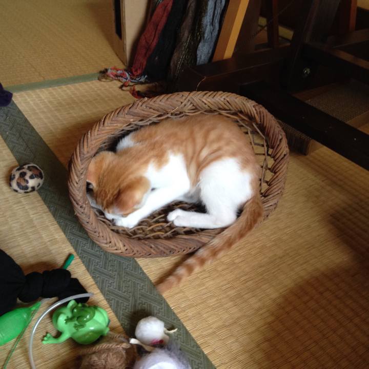 Efd54087 8757 447d 9e36 ae50347ed08c