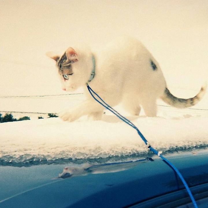 Efd5f4c5 d123 4f91 938e 23cd87efda54