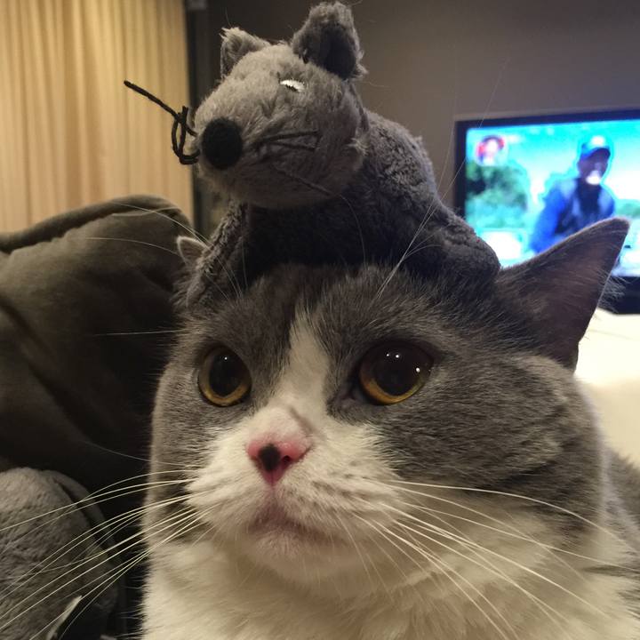 Efd66884 d28f 48e4 8003 1db76ae35bbb