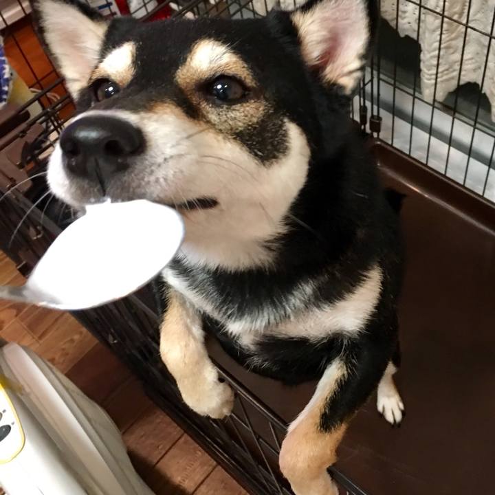 Efd7b467 1bbe 487a bb8d 9383fe1fbe27