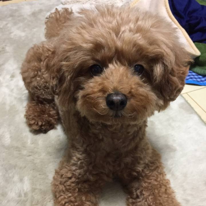 Efd850a6 f5a7 4f99 b890 37569e252cdd