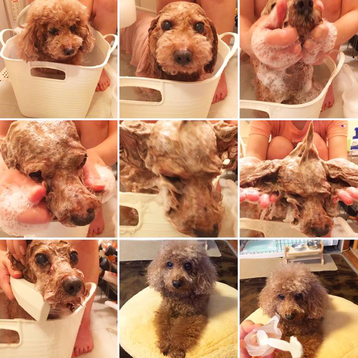 Efd941c7 e8df 4a40 833e 7ef9a9be87fa