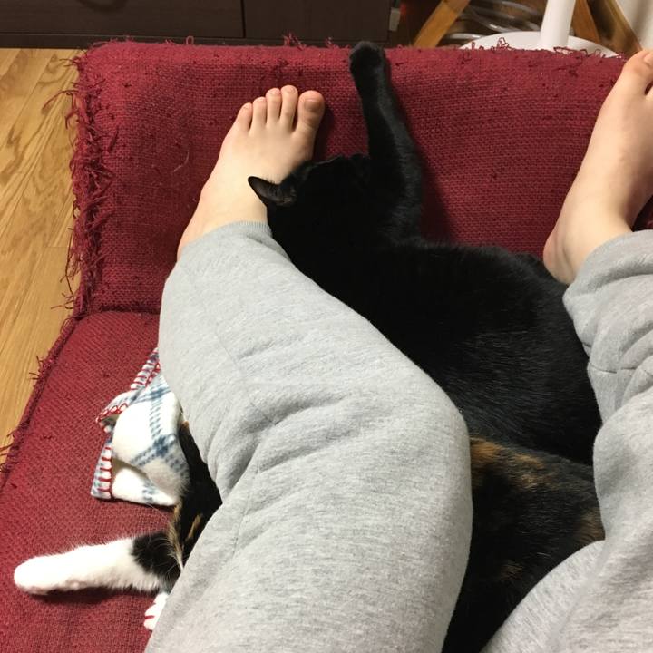 Efda1548 5da8 4417 bdc0 54de916d0b05