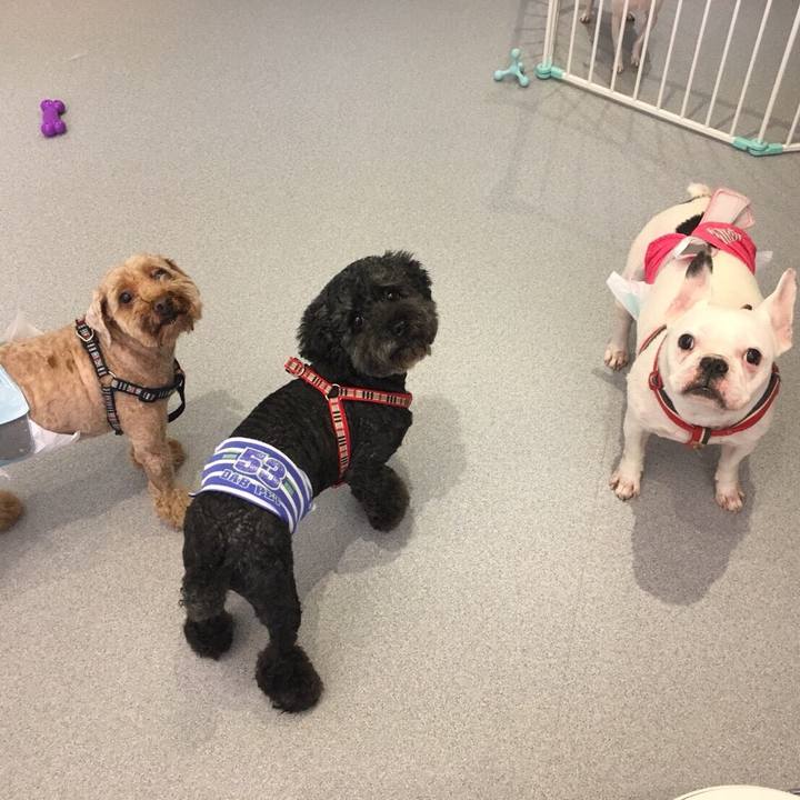 Efdaba7d 2c7f 4b37 a9c7 20a5a181bc65