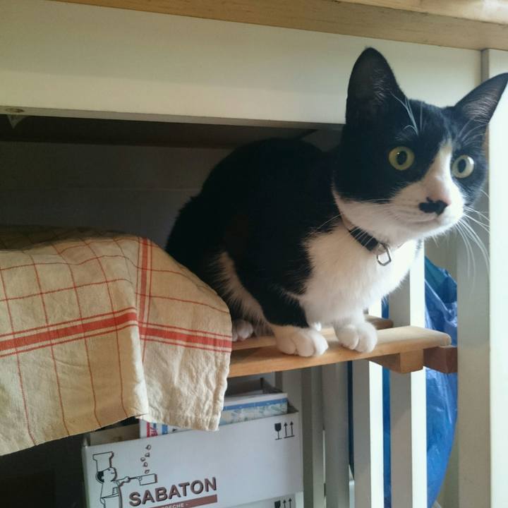 Efdacb6c 719e 4e1d 8d42 3814e9ef555e