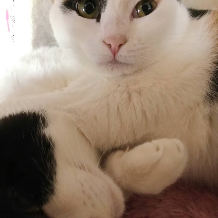 Efdafbf0 35e6 4482 a0e7 5602096336df