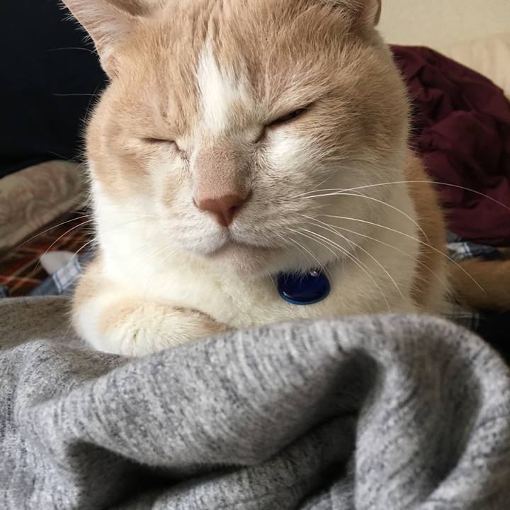 Efdb7d8c 01b7 46cc 8110 b9ecff6f216c