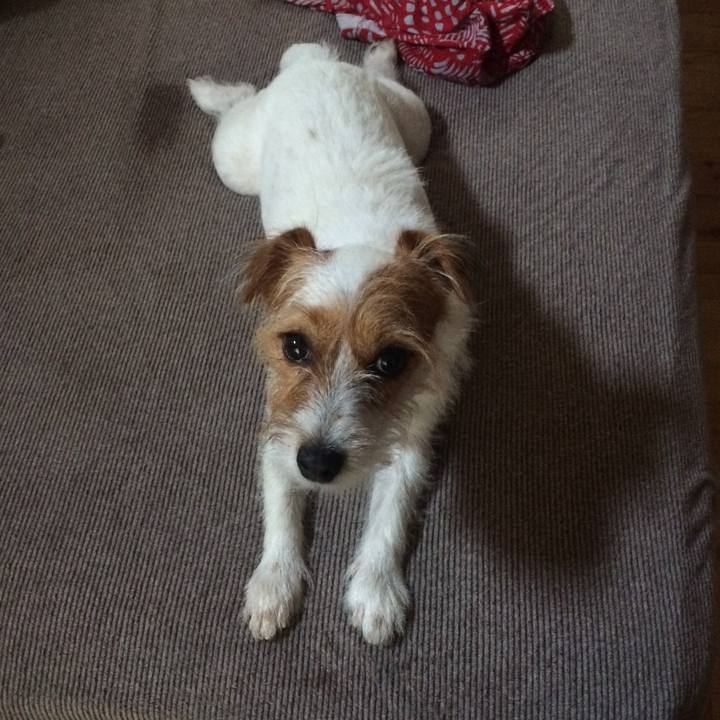 Efdbdd76 e283 439b 8da4 d68c24c6cc50