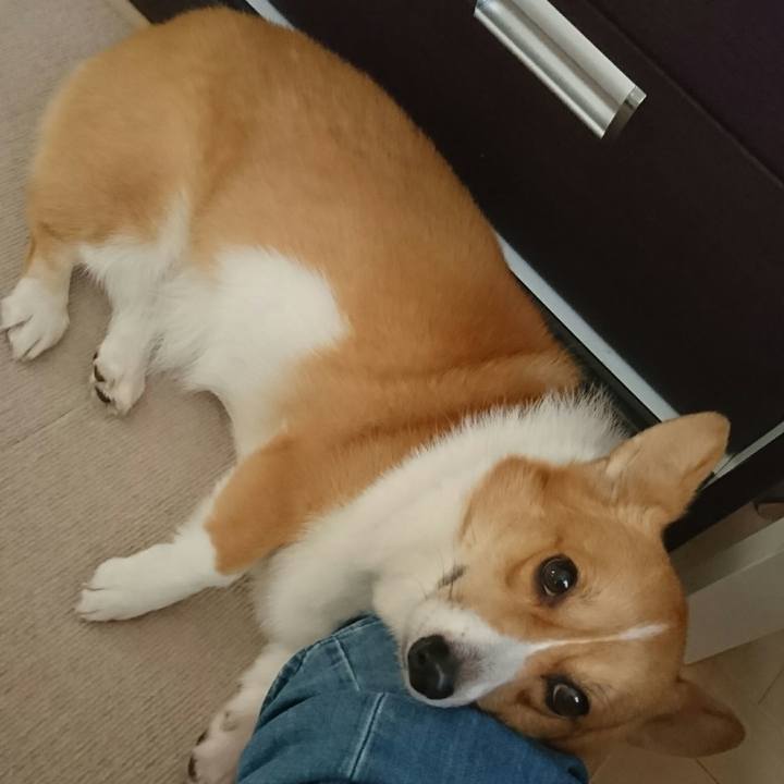 Efdc2c9b b449 4685 9f73 9eedf292bade