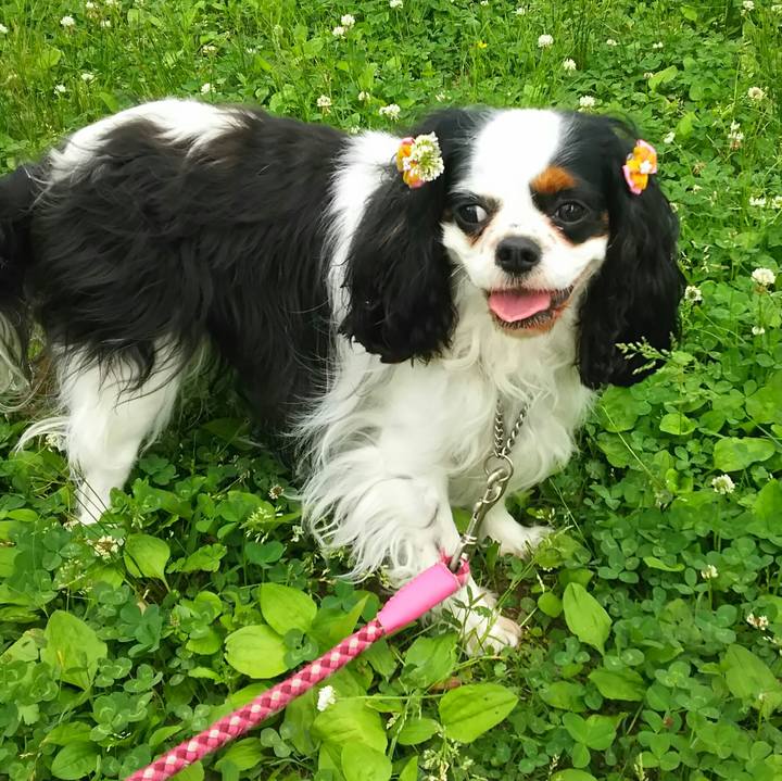 Efdc3191 469c 4ed1 aff1 0a96716e9ce5