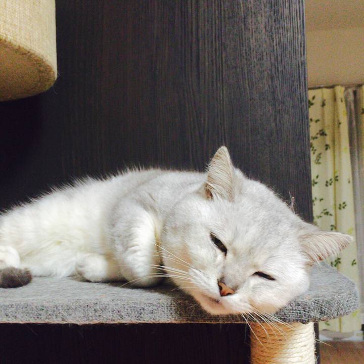 Efdd6597 18e8 4f64 87f7 4cc02ef1c5bc