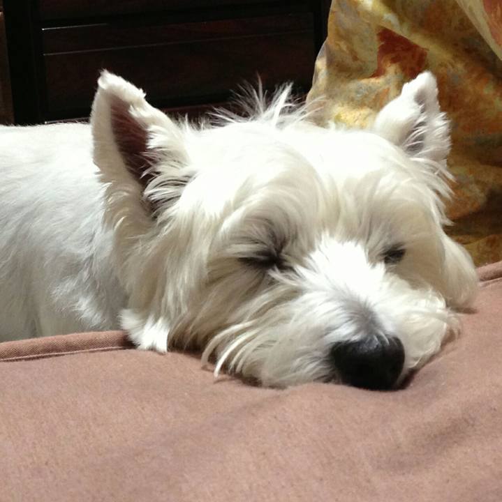 Efdd848c ab21 4e9c 9c0f a33599bb6d1b