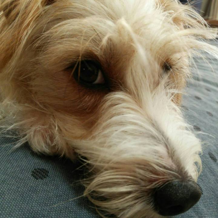 Efddd289 c338 4316 a3eb 378c48b05e38