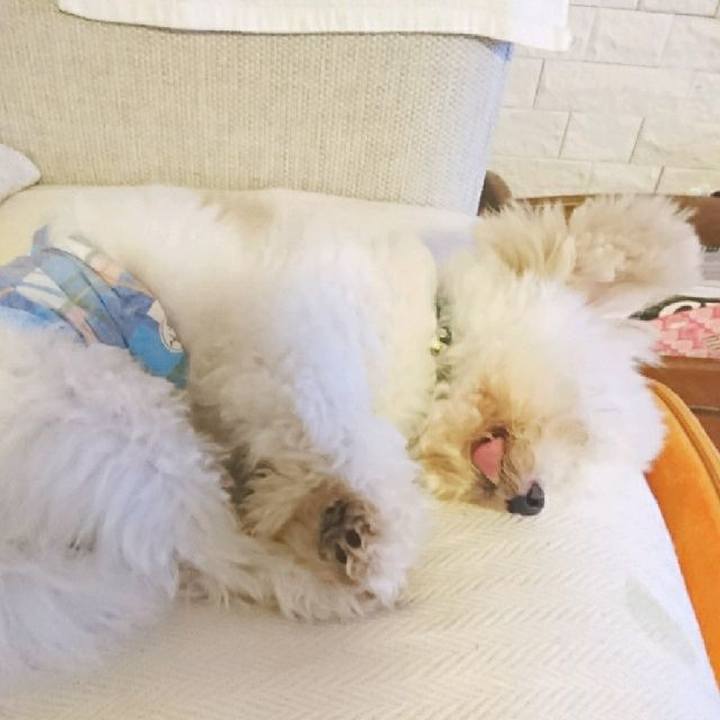 Efddf72a 9775 4796 acc6 0a28469e7c69