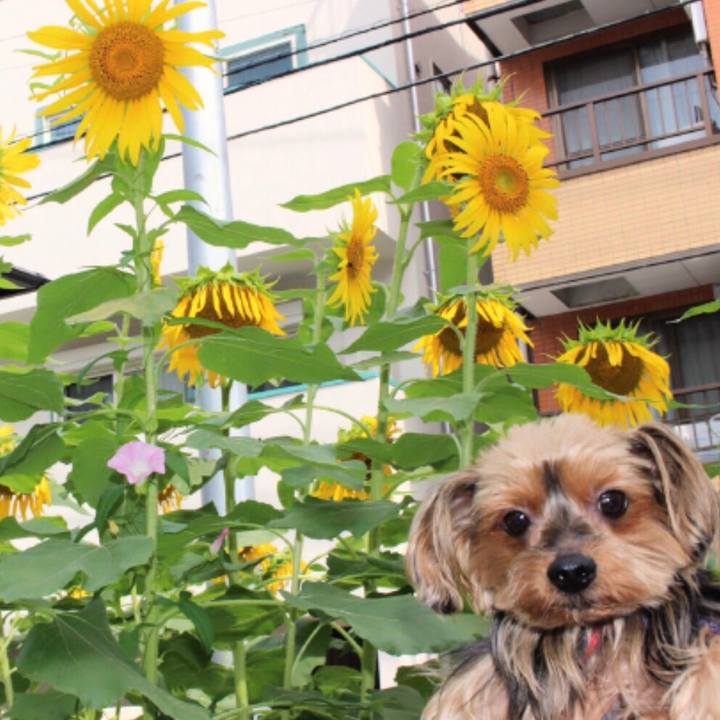 Efddfc34 4fec 4211 8cc8 56fca4ff660e