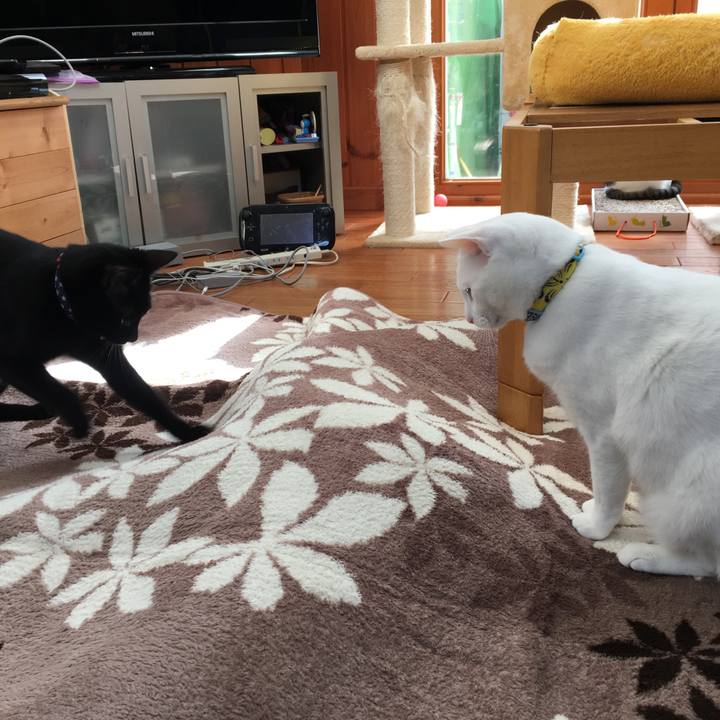 Efde133b 2d37 48c0 a774 54f910b2da24