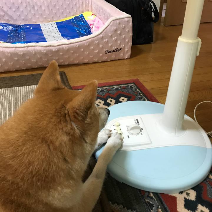 Efde28ee c462 44da 81ea 7ffe0eb8db83