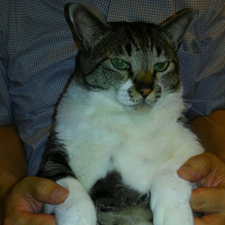 Efdeb894 1349 4e97 92f9 54a7012e6de2