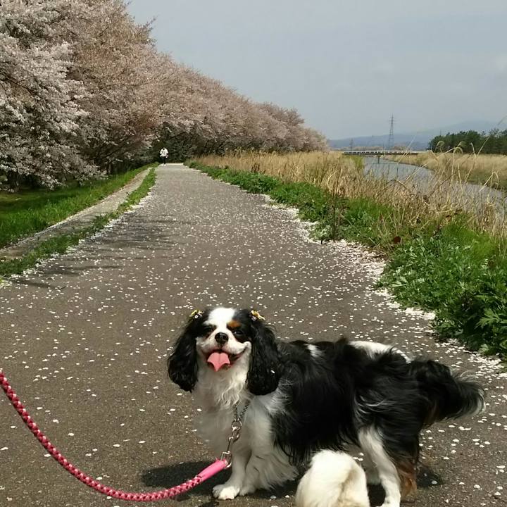 Efdedece b961 408c 851f 92b64f3be3a6