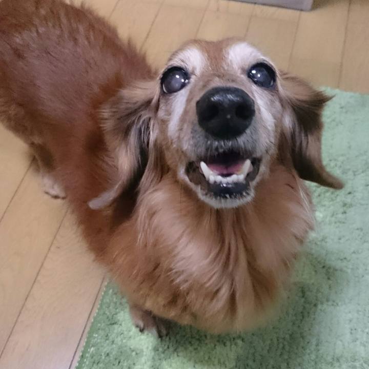 Efdeeaee 5e15 467f 9eac 480d6b1f5419