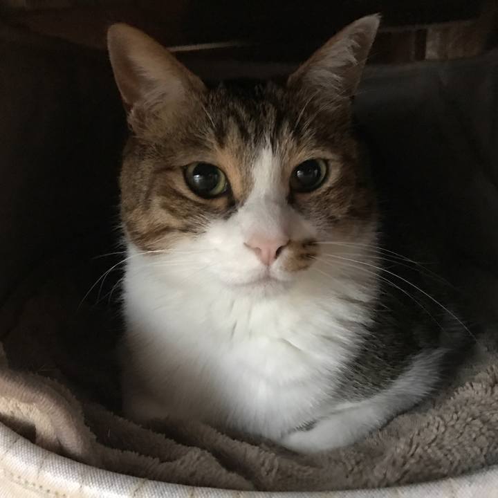 Efdf54a3 9b97 49cf 987d 311c572289de