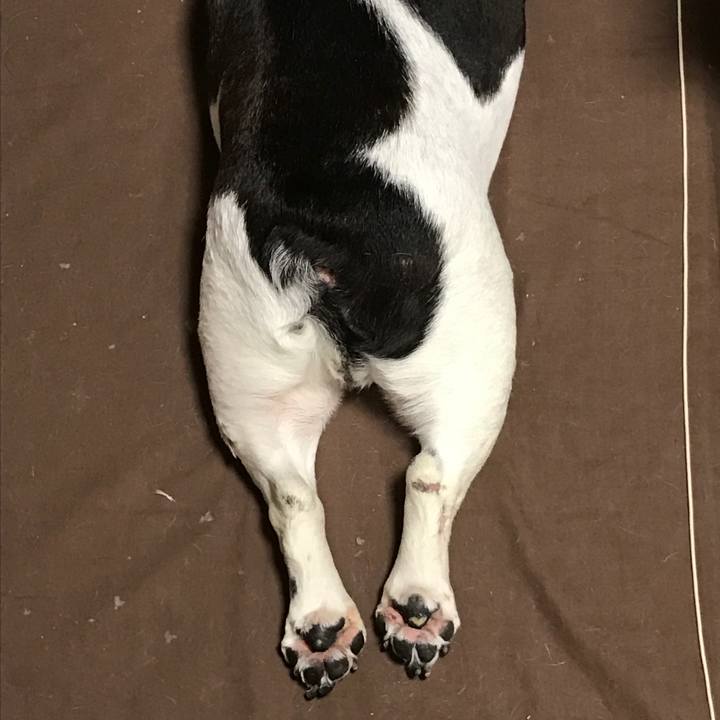 Efe03e9d bc1e 4c37 9f71 f4d8caa98d63