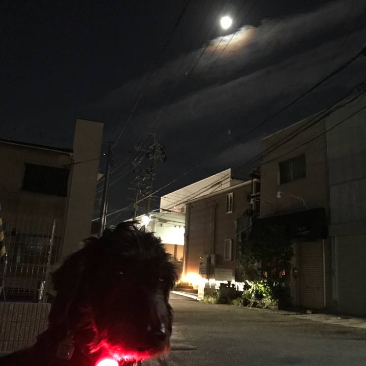 Efe090f3 7e2d 4742 ba2f 848584b4bd43