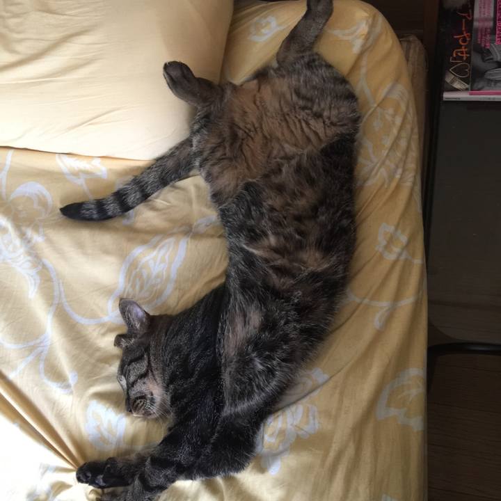 Efe12714 8ecc 41fe 8f1e 4c5be0e551b1