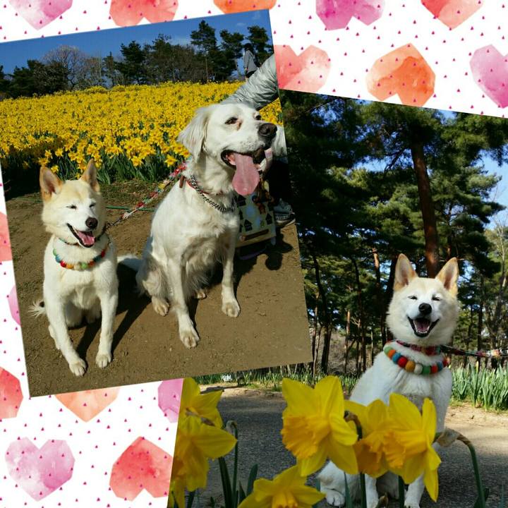 Efe15020 7999 4234 8890 a32cc65cceaf