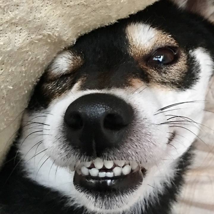 Efe1946d c74b 4709 b040 80e9743e5f5c